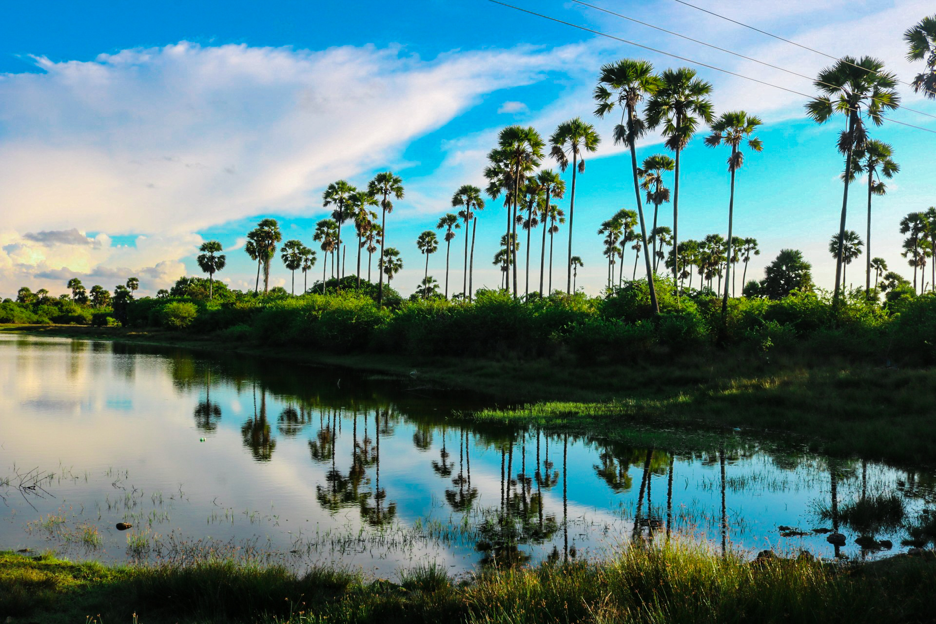 எல்லாமே மாறிப்போச்சு……… எல்லாமே மாறிப்போச்சு………