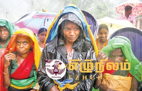 மலையகத்தில் மாண்பு பெறாத பெருந்தோட்டப் பெண்கள் மலையகத்தில் மாண்பு பெறாத பெருந்தோட்டப் பெண்கள்
