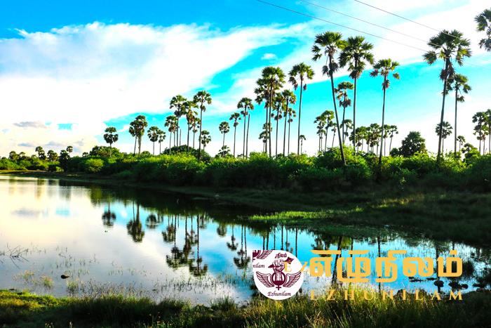 ஊர் உலா!!