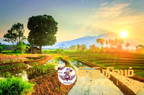 இதுவும் ஒரு கோடை விடிகாலை இதுவும் ஒரு கோடை விடிகாலை