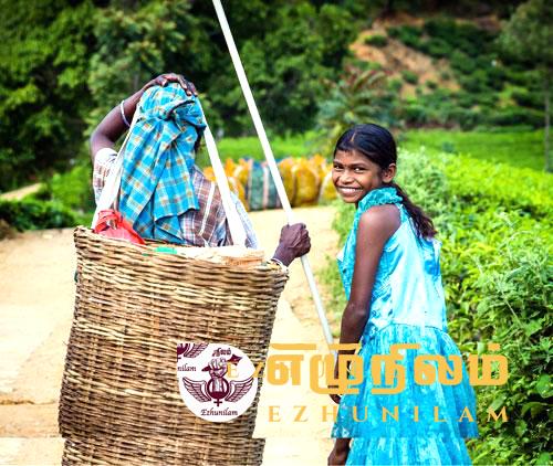 மார்தட்டும் மலையகம்