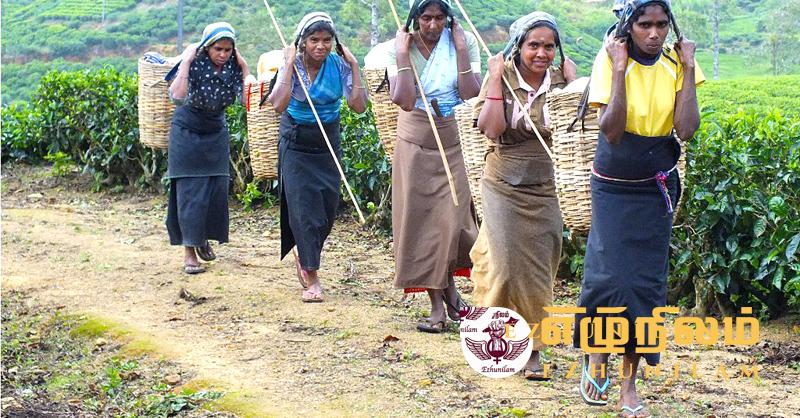 தொழிலாளியும், கம்பனியும் ஒரே பார்வையில்