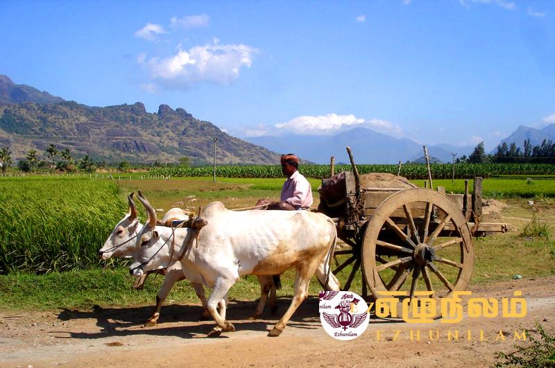 ஏக்கம்! ஏக்கம்!