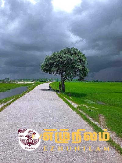 காலபோகக் கனவு காலபோகக் கனவு