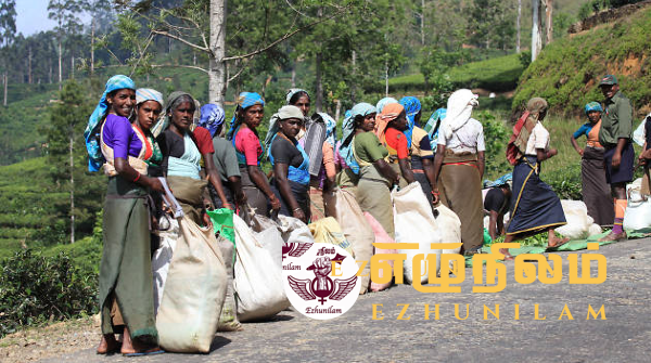 மலையகத் தொழிலாளர்மீது பொலிஸார் அடக்குமுறை நாங்களும் ஜெனிவா போக வேண்டி வடிவேல் எம்.பி மலையகத் தொழிலாளர்மீது பொலிஸார் அடக்குமுறை நாங்களும் ஜெனிவா போக வேண்டி வடிவேல் எம்.பி