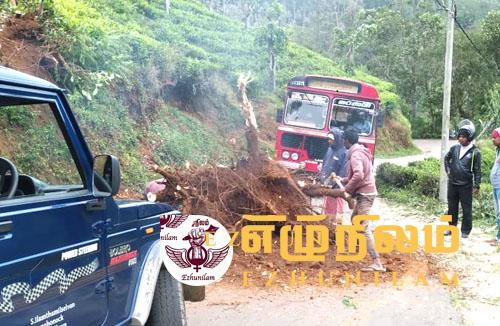 மலையகத்தில் மினி சூறாவளி நுவரெலியாவில் இருவர் பலி; பல பகுதிகளில் பாரிய மரங்கள் சரிந்தன மலையகத்தில் மினி சூறாவளி நுவரெலியாவில் இருவர் பலி; பல பகுதிகளில் பாரிய மரங்கள் சரிந்தன
