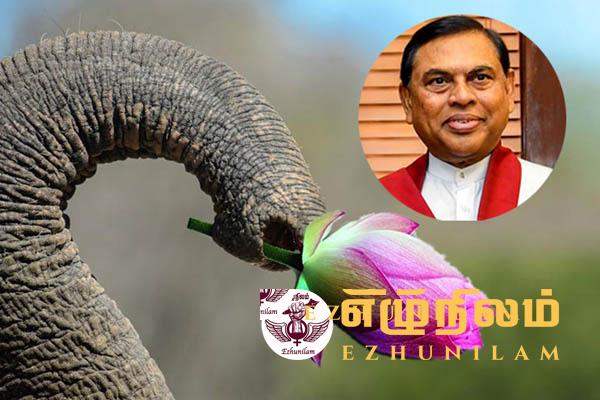 தேர்தல் நடவடிக்கைகளை ஆரம்பிக்க யானையுடன் களத்தில் இறங்கிய பசில்!