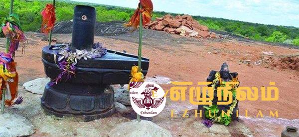 வெடுக்குநாறி மலை விவகாரம்; நீதிமன்றத்தில் எழுத்தப்பட்ட ‘மை’ காய்வதற்கு முன் பொலிசார் அடாவடி! வெடுக்குநாறி மலை விவகாரம்; நீதிமன்றத்தில் எழுத்தப்பட்ட ‘மை’ காய்வதற்கு முன் பொலிசார் அடாவடி!