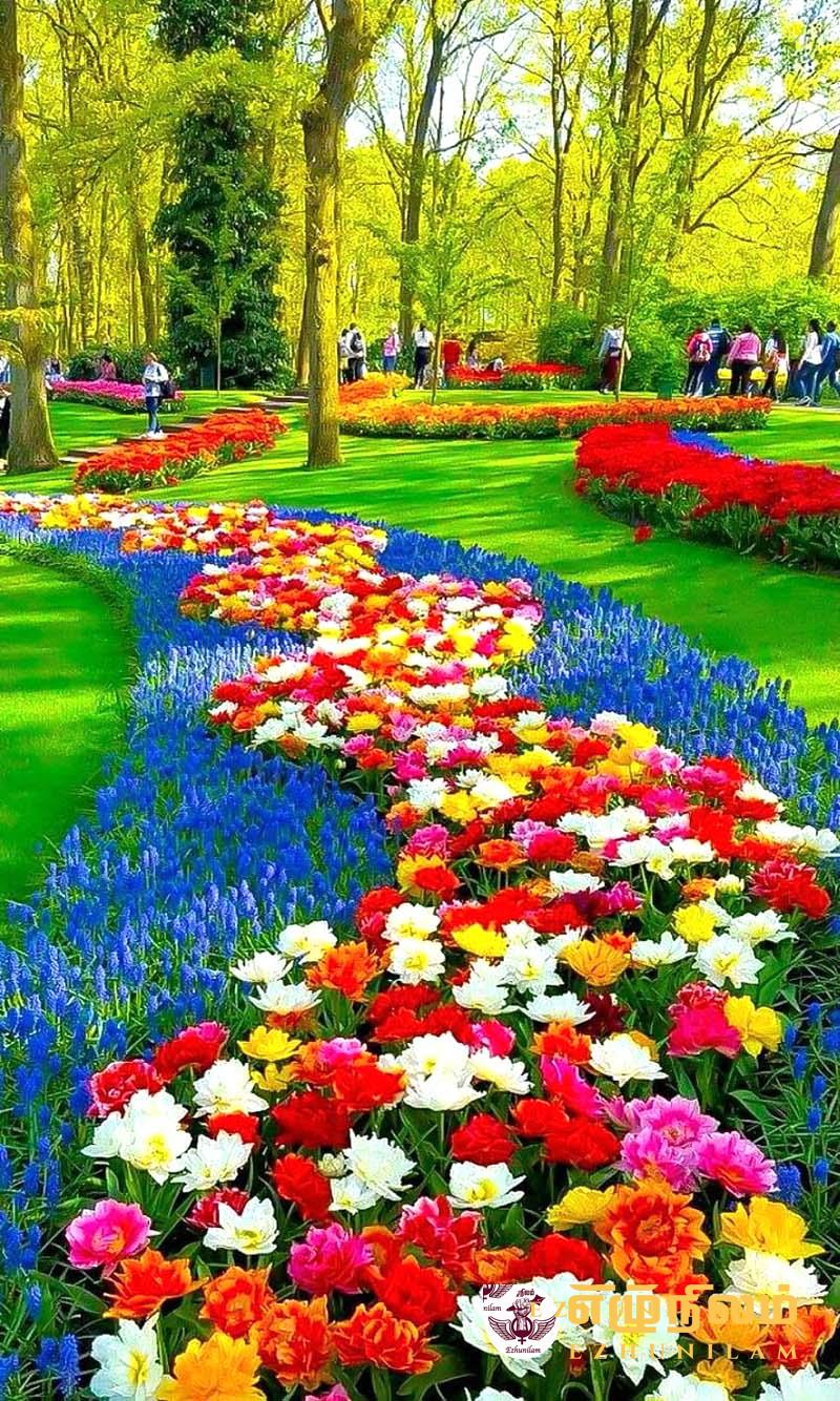 குற்றுயிராய் தவிக்குது எங்கள் பூமி குற்றுயிராய் தவிக்குது எங்கள் பூமி