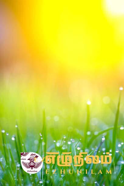 பழகிக் கொள்வோம்! பழகிக் கொள்வோம்!