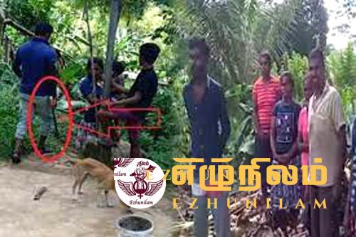தெனியாய மொறவக்க பகுதியில் தமிழர்களின் பயிர்கள் வெட்டி அழிப்பு