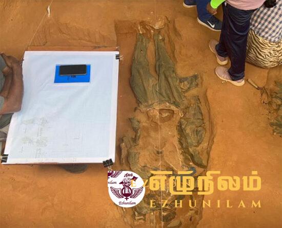 கொக்குத்தொடுவாய் புதைகுழியில் ஒன்றோடு ஒன்றாக பலஅடுக்குகளாக எலும்புக் கூடுகள் கொக்குத்தொடுவாய் புதைகுழியில் ஒன்றோடு ஒன்றாக பலஅடுக்குகளாக எலும்புக் கூடுகள்