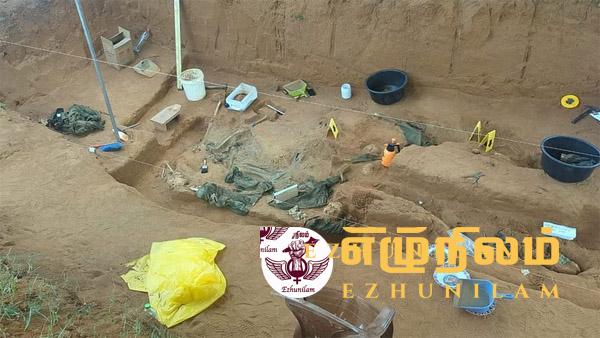 கொக்குத்தொடுவாய் மனித புதைகுழிக்கு அருகில் புலிகளின் சித்திரவதைக் கூடம்? முன்னாள் போராளி தகவல் கொக்குத்தொடுவாய் மனித புதைகுழிக்கு அருகில் புலிகளின் சித்திரவதைக் கூடம்? முன்னாள் போராளி தகவல்