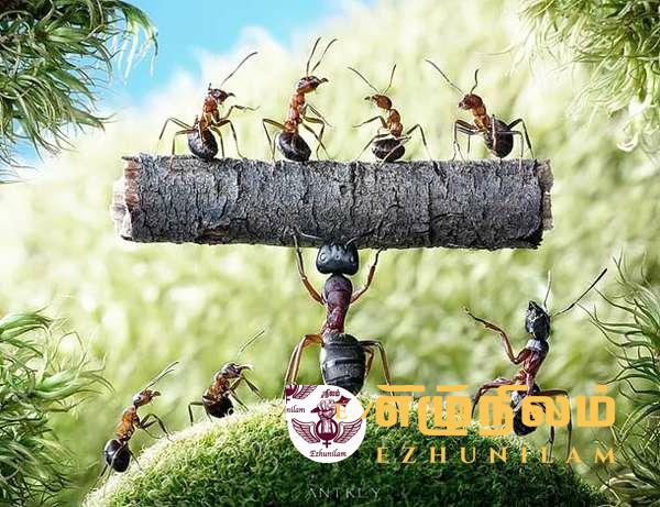 தன்னம்பிக்கை தன்னம்பிக்கை