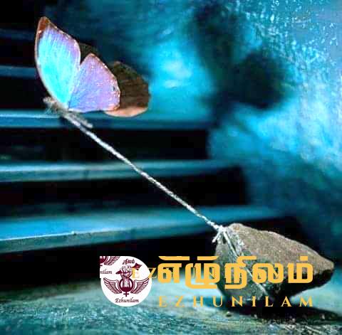 முன்னோக்கி வா! முன்னோக்கி வா!