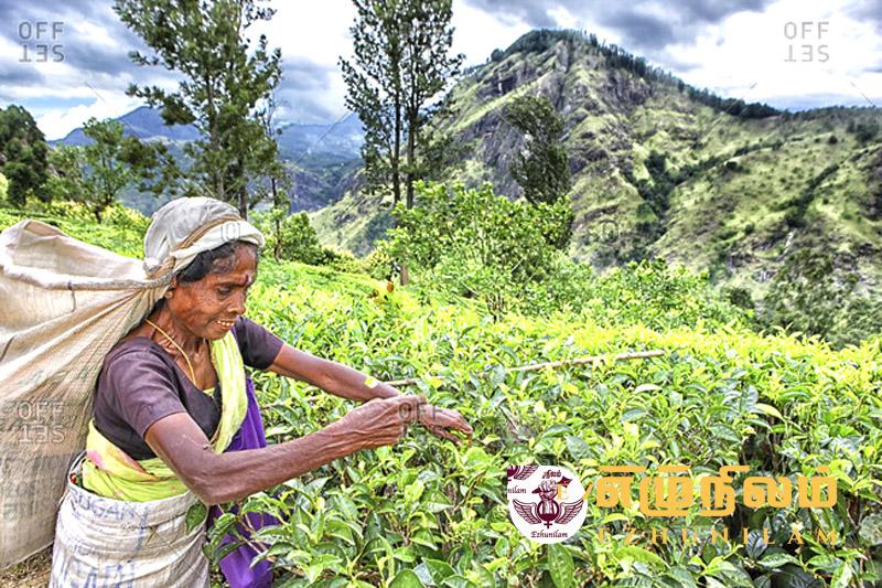 கடவுளே..!! கடசிப்பல நானாக…! கடவுளே..!! கடசிப்பல நானாக…!