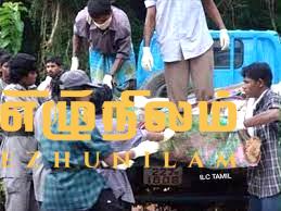 செஞ்சோலை