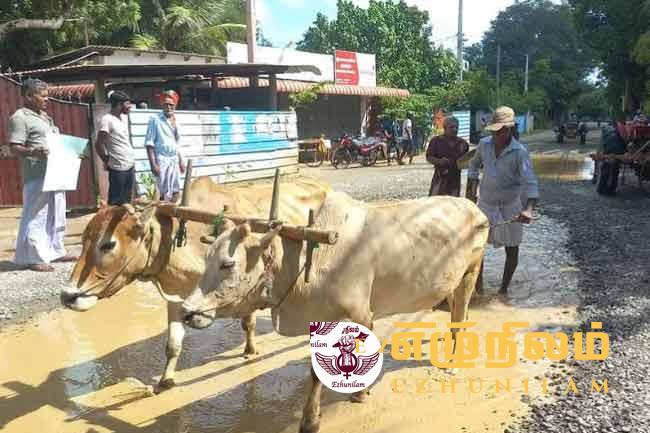 வீதியில் வினோத போராட்டம்! வீதியில் வினோத போராட்டம்!