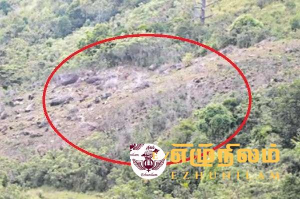 அரசியல்வாதிகளின் ஆதரவுடன் அழிக்கப்பட்ட 7 ஏக்கர் சிங்கராஜா வனப்பகுதி அரசியல்வாதிகளின் ஆதரவுடன் அழிக்கப்பட்ட 7 ஏக்கர் சிங்கராஜா வனப்பகுதி
