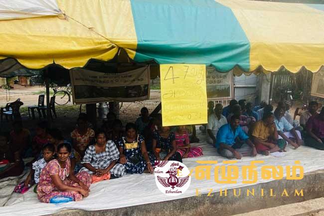 மயிலத்தமடு, மாதவனை பகுதியில் அதிகரிக்கும் உயிரிழப்புகள்! மயிலத்தமடு, மாதவனை பகுதியில் அதிகரிக்கும் உயிரிழப்புகள்!