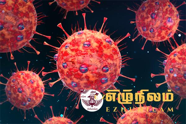 ஜே.என்-1 கொவிட் 19 வைரஸ் திரிபால் இலங்கைக்கு ஆபத்து மிகவும் குறைவு