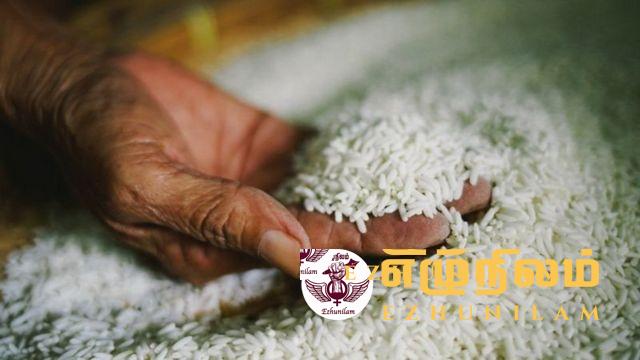 அரிசி மோசடிக்கு முயற்சி நடக்கிறதா ?