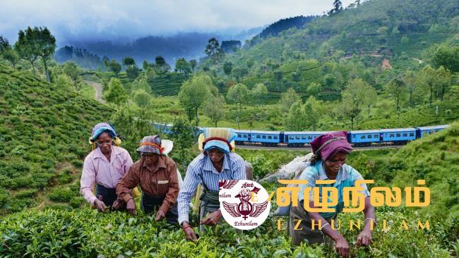 தோட்டத் தொழிலாளர்களுக்கு 1700 ரூபா சம்பளம் விரைவில் கிடைக்கும்