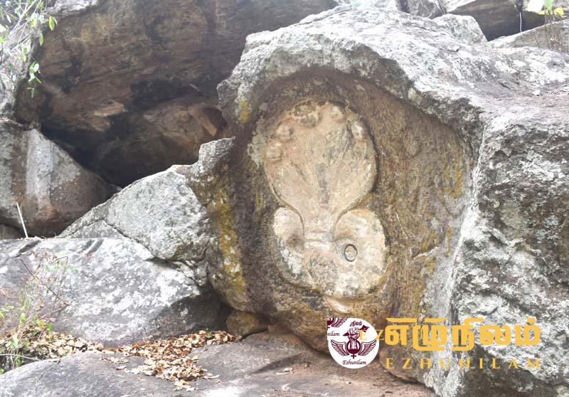 நாகதம்பிரான் ஆலயத்தை நாக விகாரையாக்கிய பிக்கு; திரியாயில் பிக்கு அடாவடி நாகதம்பிரான் ஆலயத்தை நாக விகாரையாக்கிய பிக்கு; திரியாயில் பிக்கு அடாவடி
