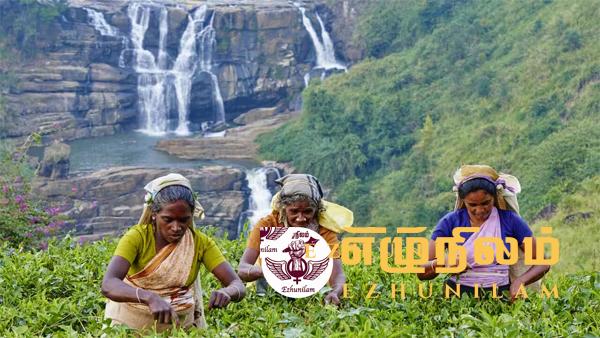 வடக்கு நோக்கி வந்த மலையக மக்கள் பத்தோடு பதினொன்றாக வாழ்ந்துவிடவில்லை வடக்கு நோக்கி வந்த மலையக மக்கள் பத்தோடு பதினொன்றாக வாழ்ந்துவிடவில்லை