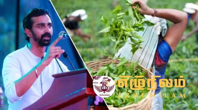 ஜீவனுக்காகவா சம்பளத்துக்காகவா?: தோட்டத் தொழிலாளர்களின் பணிபுறக்கணிப்பு