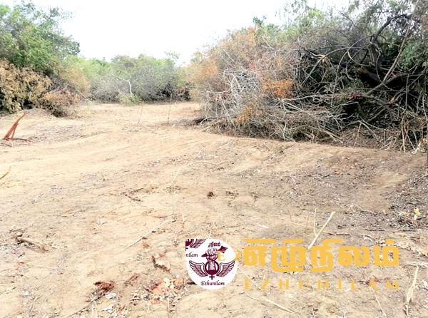 திருமலை குச்சவெளி இலந்தைக்குளத்தில் இரவோடு இரவாக புத்த விகாரையா? திருமலை குச்சவெளி இலந்தைக்குளத்தில் இரவோடு இரவாக புத்த விகாரையா?