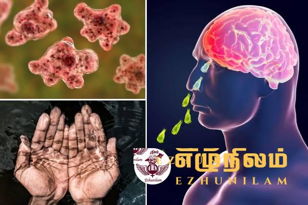 மூளையை உண்ணும் அமீபா எப்படி மனிதனை அடைகிறது?
