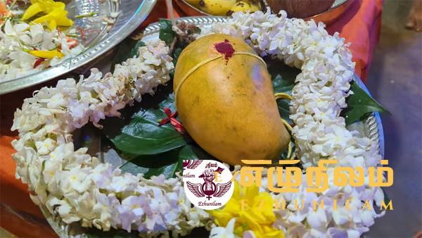 2 இலட்சத்திற்கும் அதிகமாக ஏலத்தில் விற்கப்பட்ட ஒரே ஒரு மாம்பழம் 2 இலட்சத்திற்கும் அதிகமாக ஏலத்தில் விற்கப்பட்ட ஒரே ஒரு மாம்பழம்