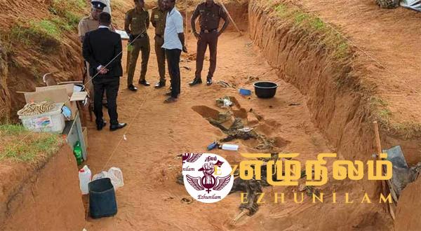 பாரிய மனித புதைகுழி; விசாரணை அறிக்கையை சமர்ப்பிக்க நடவடிக்கை பாரிய மனித புதைகுழி; விசாரணை அறிக்கையை சமர்ப்பிக்க நடவடிக்கை