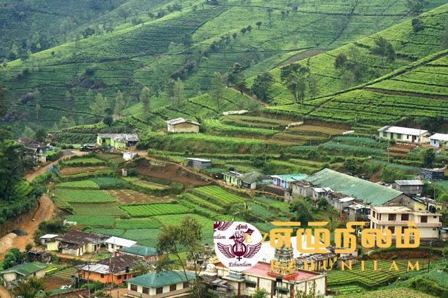 கண்டியில் கைநழுவிய தமிழ் பிரதிநிதித்துவம்; பெருந்தோட்ட மக்கள் பெரும் கவலையில்