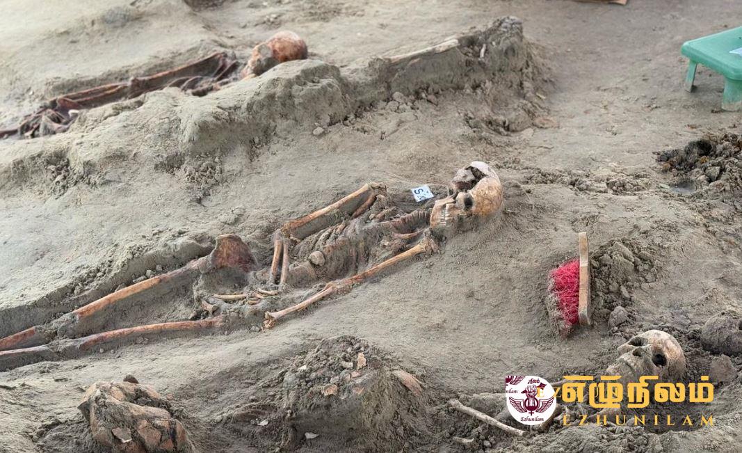 செம்மணியில் மேலும் இரண்டு சிறுவர்களுடைய எலும்பு கூடுகள் அகழ்ந்து எடுக்கப்பட்டுள்ளது செம்மணியில் மேலும் இரண்டு சிறுவர்களுடைய எலும்பு கூடுகள் அகழ்ந்து எடுக்கப்பட்டுள்ளது