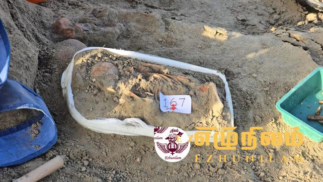 சிறுவர்கள்,குழந்தைகளின் எலும்புக் கூடுகள் அதிகம்!; சி.ஐ.டி.யினர் விசேட கவனம் சிறுவர்கள்,குழந்தைகளின் எலும்புக் கூடுகள் அதிகம்!; சி.ஐ.டி.யினர் விசேட கவனம்