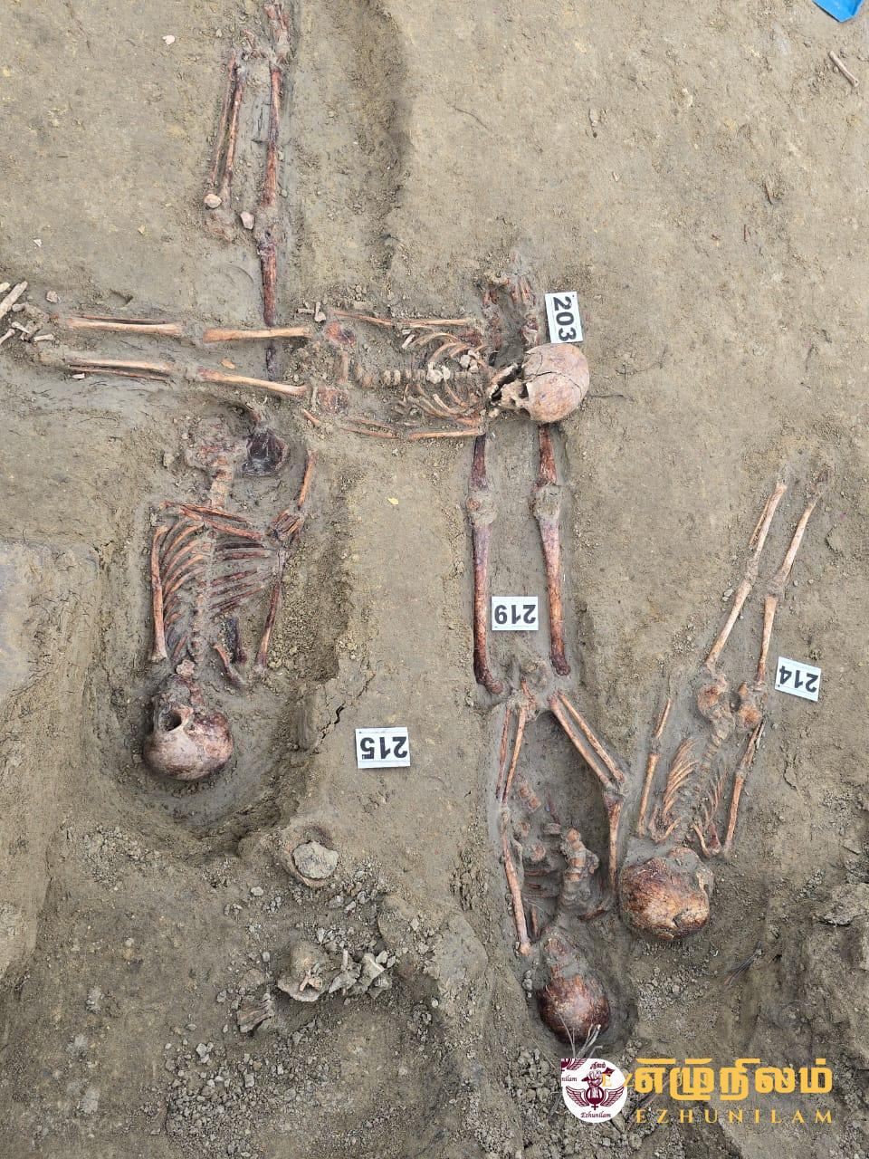 நேற்றும் 9 எலும்புக் கூடுகள் கண்டுபிடிப்பு; குவியல் குவியலாக வருகிறது நேற்றும் 9 எலும்புக் கூடுகள் கண்டுபிடிப்பு; குவியல் குவியலாக வருகிறது