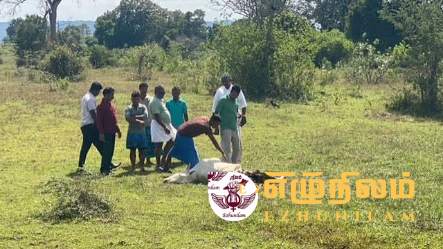 மயிலத்தமடு-மாதவனை பிரச்சினை உச்சத்தில் மட்டு.எல்லையில் பெரும் இன மோதல் ஏற்படலாம் மயிலத்தமடு-மாதவனை பிரச்சினை உச்சத்தில் மட்டு.எல்லையில் பெரும் இன மோதல் ஏற்படலாம்